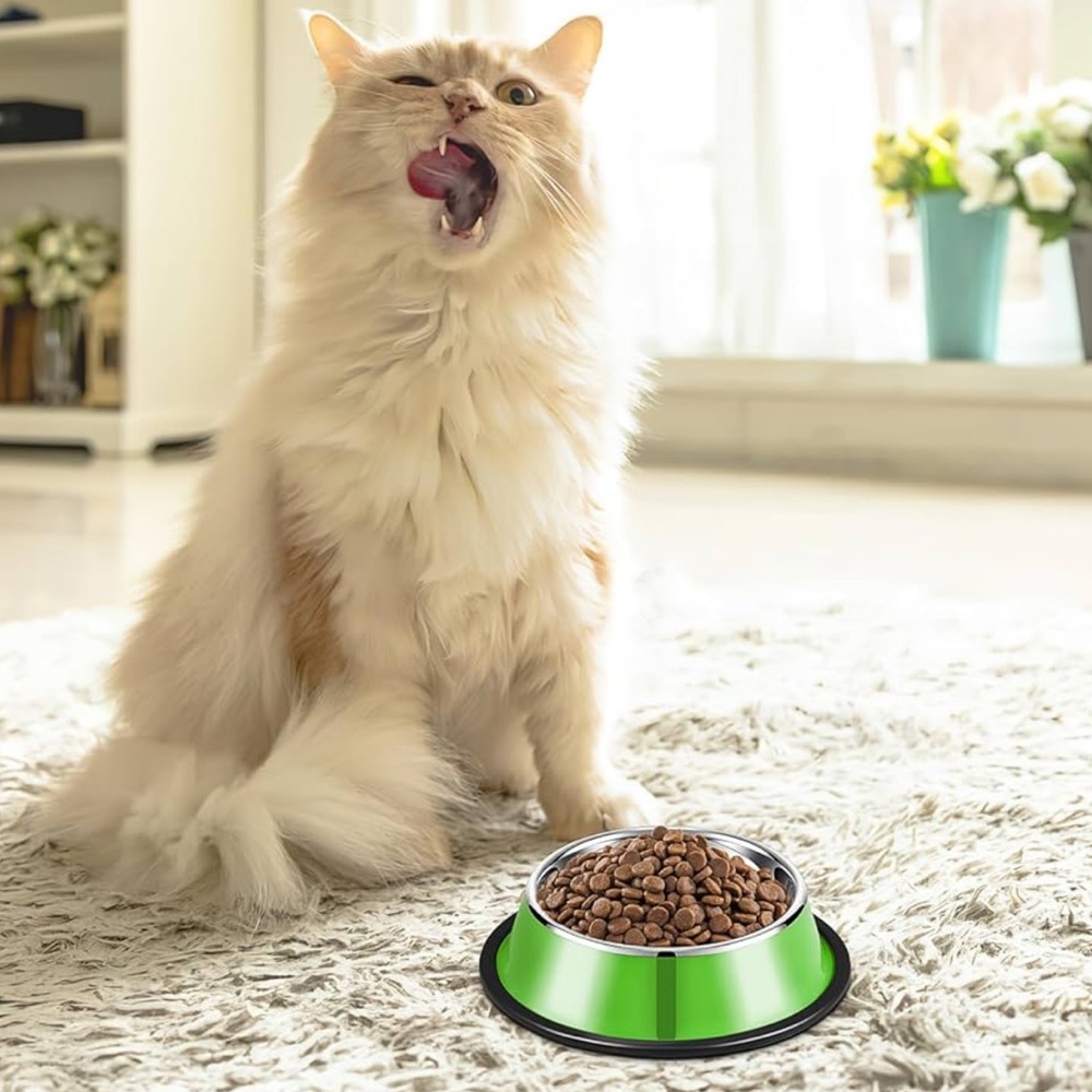 NWT Set of 6 Cats & Dogs Food Nonslip Bowls with Detachable Silicone Base. - Picture 7 of 8